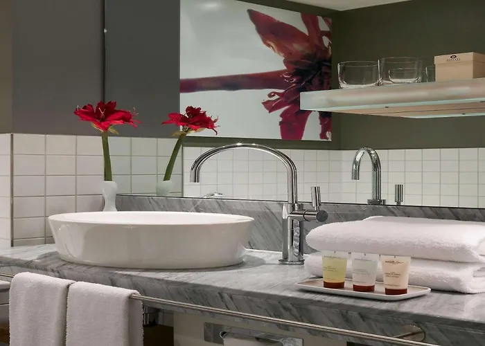 Sofitel Alter 5*